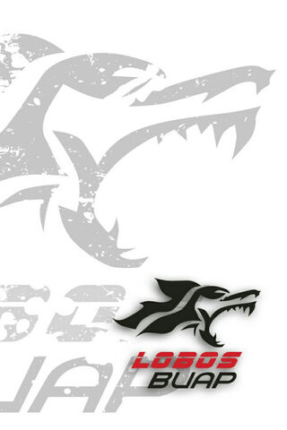 The Fierce Spirit of Lobos BUAP 🐺⚽