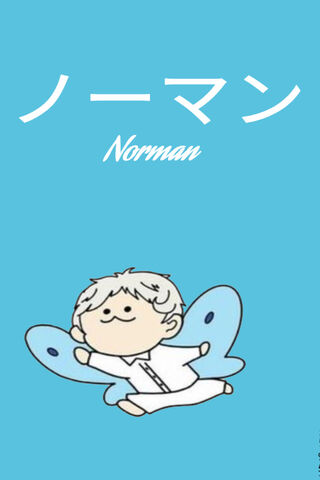 Norman's Butterfly Adventure 🦋✨