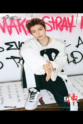 Dreamy Heights: A Stray Kids Journey