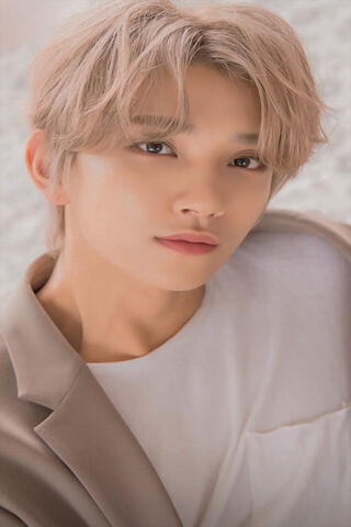 Charming Elegance: The Allure of SVT-Joshua Hong