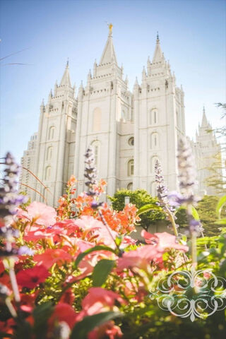 Majestic Serenity: The Salt Lake City Temple