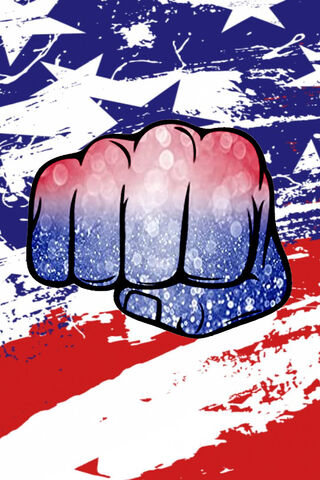 USA Fist