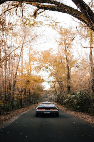 California Road