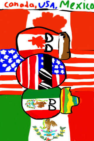 Unity in Diversity: North American Buddies 🇨🇦🇺🇸🇲🇽