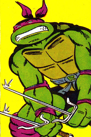 Ralph the Fearless Ninja Turtle 🐢💥