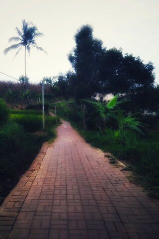 Journey Through Shadows 🌌