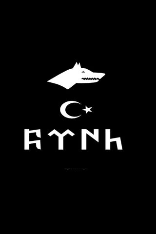 Emblem of Heritage: The Turkish Spirit 🇹🇷🐺