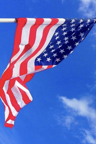 Waving Freedom: The Spirit of America 🇺🇸