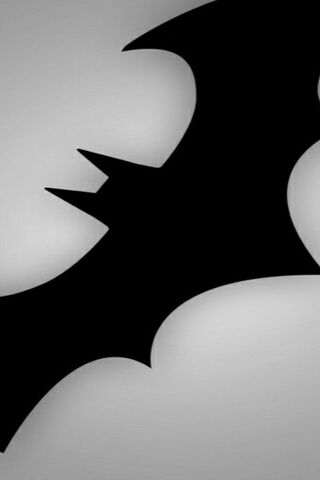 Shadows of the Night: A Monochrome Bat