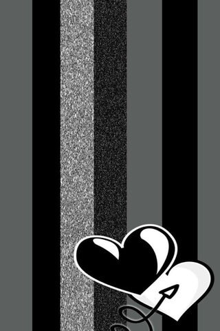 Shades of Love: A Monochrome Journey 🖤🤍