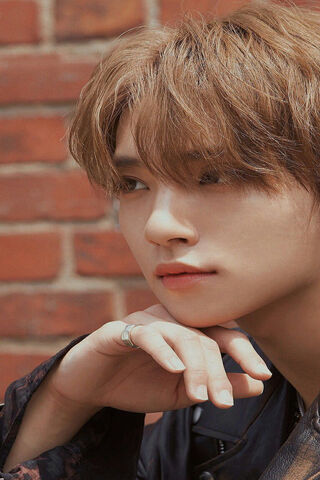 Joshua: A Moment of Reflection