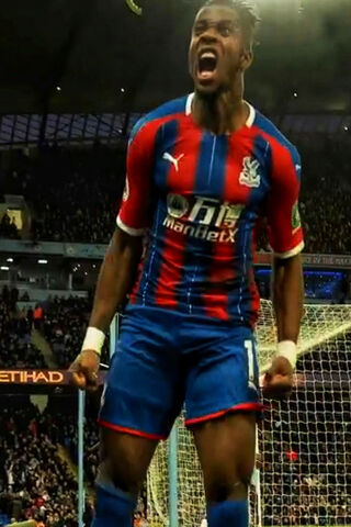 Victory Roar: Crystal Palace FC in Action! ⚽️🎉