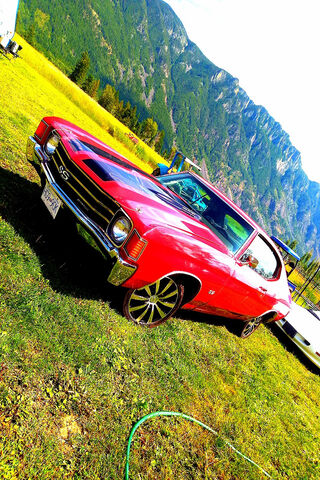 Chevelle Charm: A Classic Beauty on Wheels 🚗✨