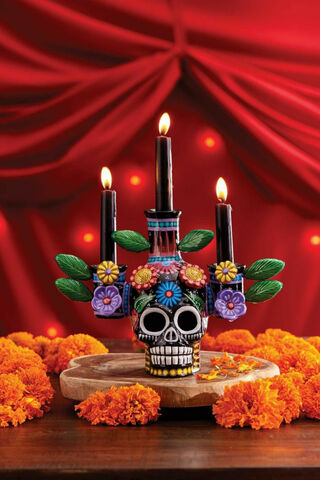 Celebrating Life: A Dia De Los Muertos Tribute 🎉💀