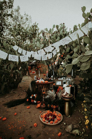 Celebrating Life: A Dia De Los Muertos Tribute 🌼💀