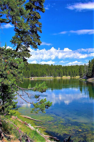 Serenity in Hayden Valley 🌲💧