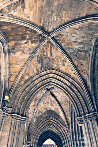 Gothic Grandeur: A Journey Through Time