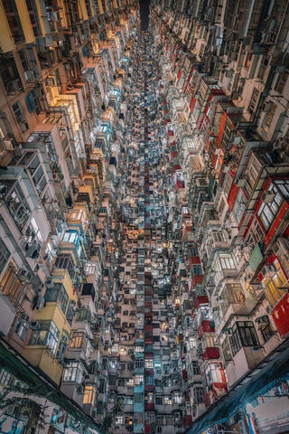 Vertical Living: The Heart of Hong Kong 🏙️✨