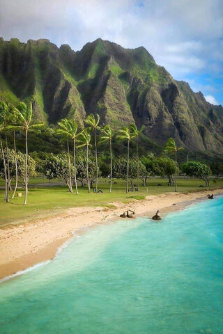 Tropical Paradise: Hawaii's Hidden Gem 🌴🌊