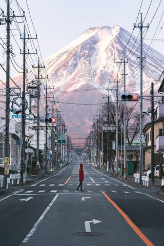 Serenity in Red: A Journey to Mount Fuji