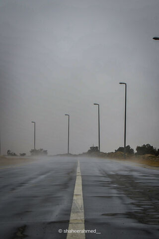 Journey Through the Mist 🌫️🚦