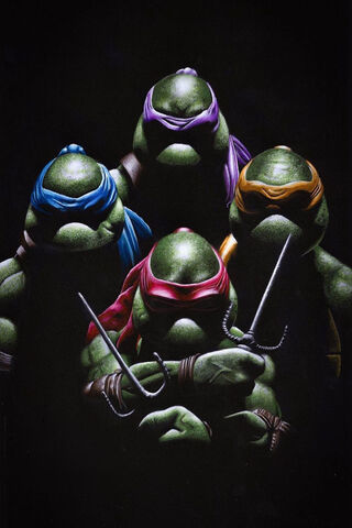 Heroes in a Half Shell 🐢✨