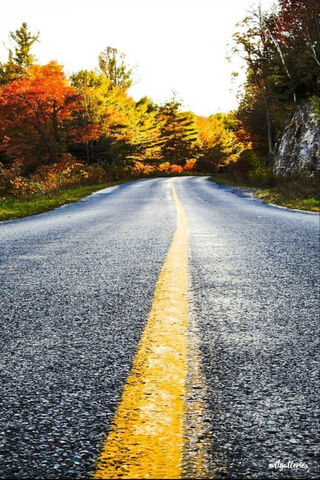 Journey Through Autumn's Embrace 🍂🚗