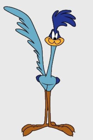Speedy Adventures of the Road Runner! 🐦💨