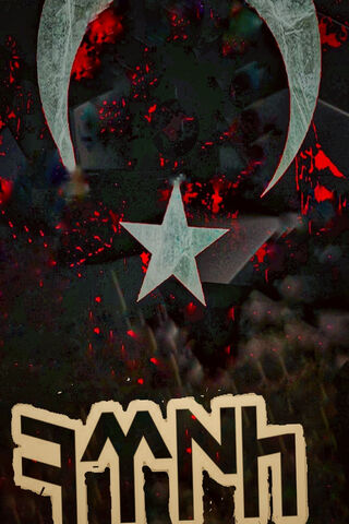 Echoes of the Crescent: A Turkish Tribute 🌙⭐