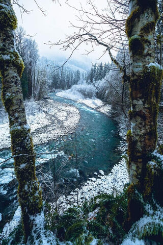 Winter Serenity in Washington's Wilderness ❄️🌲