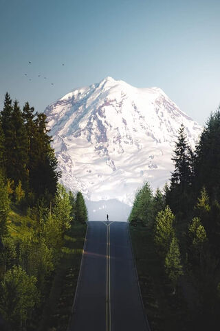 Majestic Journey Through Washington's Wilderness 🌲🏔️