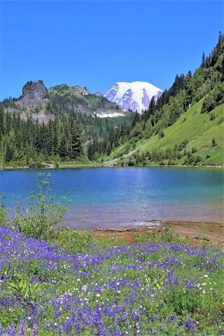 Nature's Masterpiece: Washington's Scenic Beauty 🌲🏔️