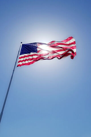 Waving Pride: The Spirit of America 🇺🇸