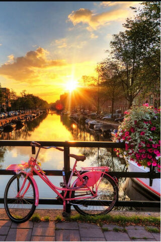 Sunset Serenity at the Beautiful Bridge 🌅🚲