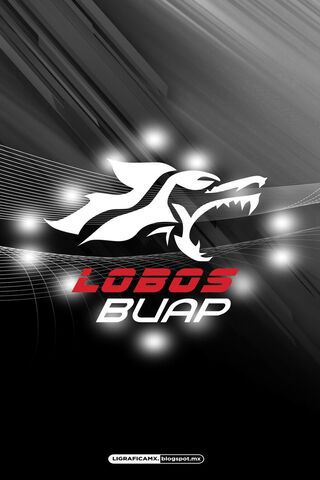 Lobos Buap: The Spirit of the Pack 🐺⚽