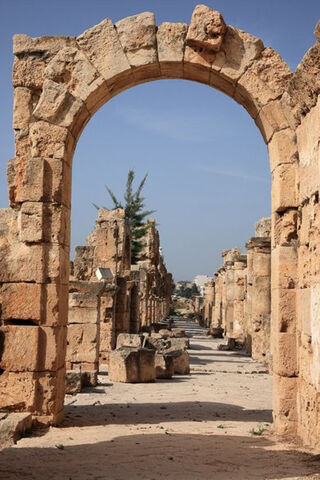 Echoes of Time: The Ancient Ruins