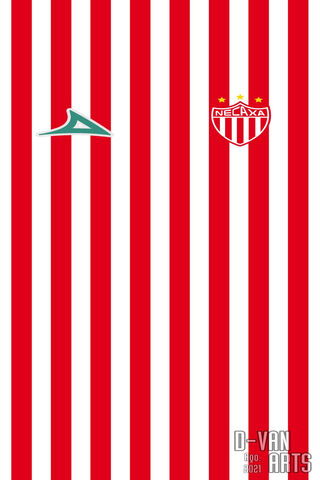 Stripes of Passion: Rayos Del Necaxa