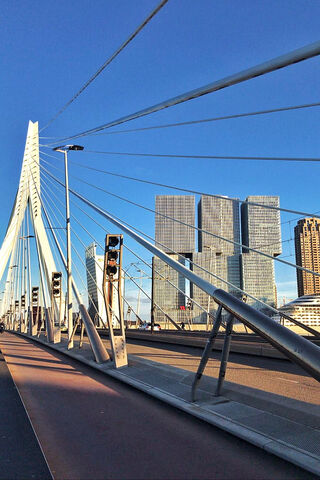 Rotterdam's Iconic Skyline: A Modern Marvel 🌉🏙️