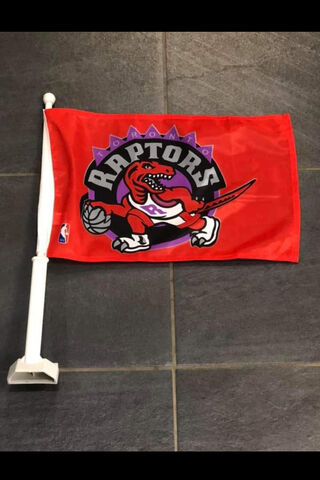Rallying for the Raptors! 🏀🦖