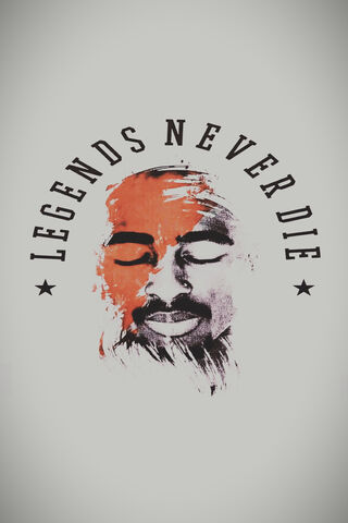 Timeless Legacy: The Spirit of 2Pac