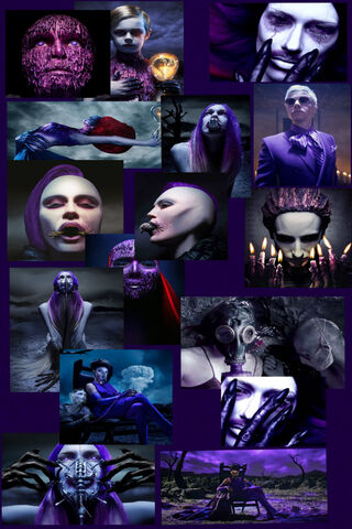 AHS Purple