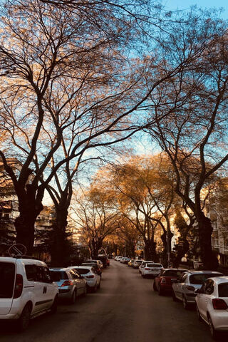 Autumn Serenity in Ankara Yenimahalle 🍂🌆