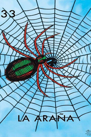 The Colorful Web of La Araña Mex 🕷️✨