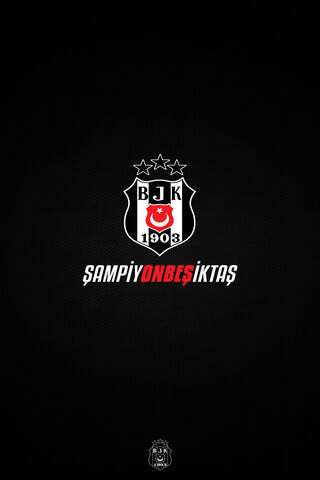 Champions of Beşiktaş: A Legacy of Pride 🏆⚫️⚪️