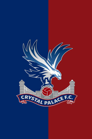 Soaring High: The Spirit of Crystal Palace FC 🦅⚽