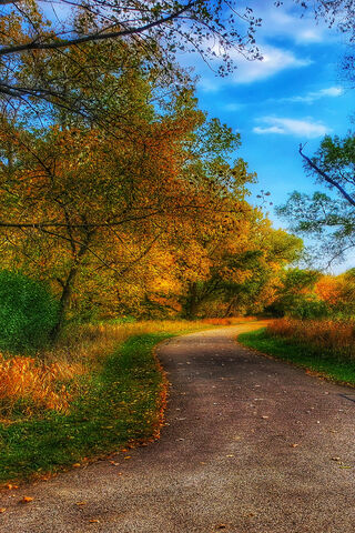 Autumn Serenity on the Country Road 🍂🚶
