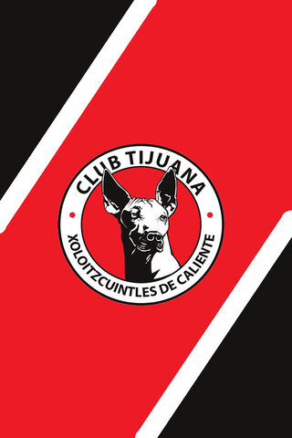 The Spirit of Club Tijuana: Xoloitzcuintles de Caliente 🐾🔥