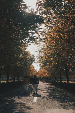 Chinar Road