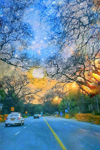 Dreamy Pathways: A Journey Through Nature's Canvas 🌅🌳