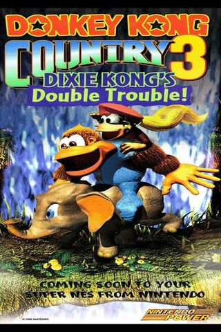 Dixie and Friends: A Jungle Adventure Awaits! 🌴🐒